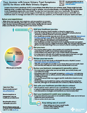 Lower Urinary Tract Symptoms (Female) pathway map