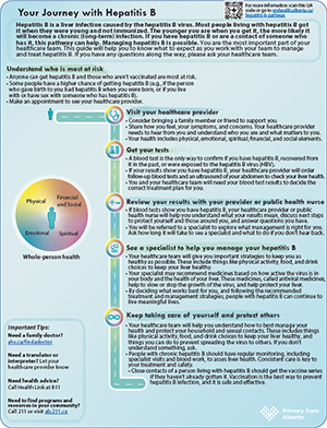 Hepatitis B pathway map