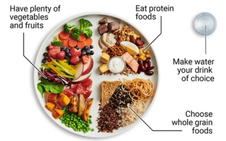 Water glass and plate showing 1/2 plate vegetables and fruit, 1/4 plate protein foods, and 1/4 plate whole grain foods. Canada’s food guide messages are written out: “Have plenty of vegetables and fruits”, “Eat protein foods”, “Choose whole grain foods”, and “Make water your drink of choice”.