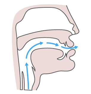 oral-articulation.png